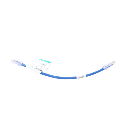 Cable de Parcheo UTP Categoría 6, con Plug Modular en Cada Extremo - 0.3 Metros (1 Pie) - Azul imagen 4