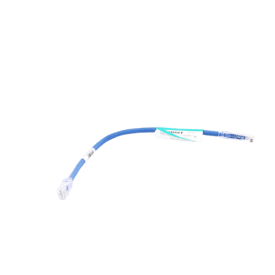 Cable de Parcheo UTP Categoría 6, con Plug Modular en Cada Extremo - 0.3 Metros (1 Pie) - Azul imagen 5