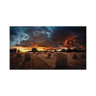 Pantalla Profesional de 46" para Video Wall / Full HD (1080p) / Display port - HDMI - DVI / 24/7 / soporta conexion Daisy chain por DP / Bisel Ultra Delgado de 2.25mm / Compatible VESA 600x400