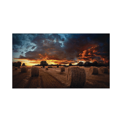 Pantalla Profesional de 55" para Video Wall / Full HD (1080p) / Display port - HDMI - DVI / 24/7 / soporta conexion Daisy chain por DP / Bisel Ultra Delgado de 2.3mm  / Compatible VESA 600x400