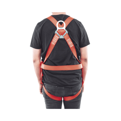 Arnés de Cuerpo Completo para Parar Caídas. imagen 3