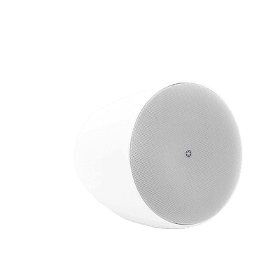 Altavoz Colgante Comercial | 6.5 in | 2 Vias | 300w | 8 Ohms | 70v/100v | Blanco imagen 9